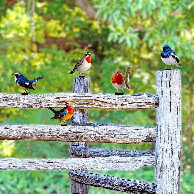 5 Pcs Vivid Bird Yard Decorations Natural Fence Decorations Outdoor Artificial Bird Color Painted 2D Sculptures for Outdoor Fences, Garden, Patio and Bird Lovers (Vivid Bird)