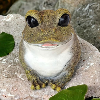 Gift Essentials Stocky Frog Decorative Garden Statue and Key Hider - Hides a Secret Extra Hidden Key Outside in Garden, Yard or Porch