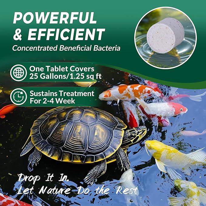 Muck Clear – Natural Pond Sludge Treatment, 4 LB for Ponds, Fountains & Bird Baths, Beneficial Bacteria & Enzymes, Chemical-Free & Safe for Fish, Pets & Wildlife