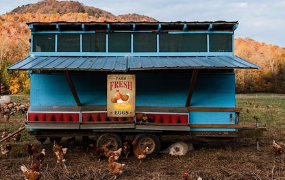 Funny Chicken Sign, Metal Chicken Coop Tin Signs, Farm Fresh Eggs Smile Chicken, Yard Sign Garage Farm Garden Wall Decor Sign Plaque Outdoor for Home Fence 8 X 12 Inches