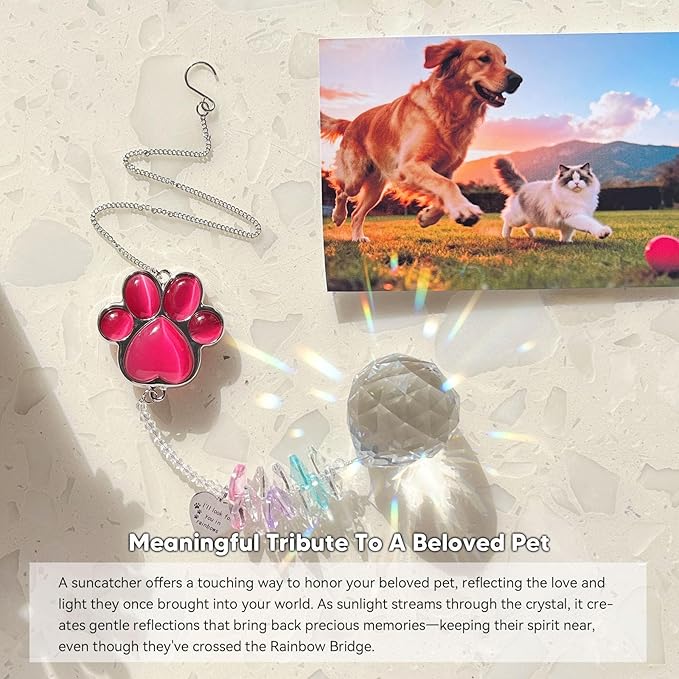 Dog Memorial Gifts for Loss of Dog, Pet Memorial Gifts for Dogs, Thoughtful Bereavement Remembrance Crystal Suncatcher with Sympathy Card (Rose Red)