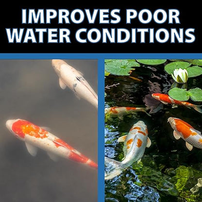 CrystalClear Barley Extract Pond Treatment – Natural Water Clarifier for Fountains, Water Gardens & Koi Ponds, Clears Cloudiness, Fish & Plant Safe, 16 Ounces