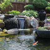 Aquascape Prevent Water Treatment for Fountains, Waterfalls, Rock and Gravel, Prevent White-Scale Buildup, Stains, Foam and Other Unsightly Water Conditions | 4 (32-Ounces)