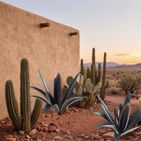 DIY Metal Agave Plant Art Yard Tequila Art Sculpture (9 Leaves -Black)