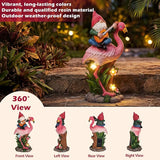 EXYGLO Solar Gnome Garden Decor Statue, 10" Gnome Riding Flamingo Outdoor Funny Decoration for Lawn, Patio, Yard, and Unique Housewarming, Birthday Ornament Gift for Mother, Friend, Family