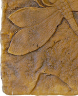Athens Autumn Wheat Dragonfly Stepping Stone, 12” Square Concrete Garden Accent with Raised Dragonfly Design, Durable Outdoor Patio or Pathway Decor, Natural Brown Tones, Hand Cast Artisan Finish