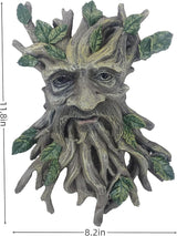 Whimsical Tree Face Garden Decoration ，Tree Faces Decor Outdoor Wallmounted Statue Art with Leaf Features, Outdoor Decor Garden Accessory (Nature and Outdoors)