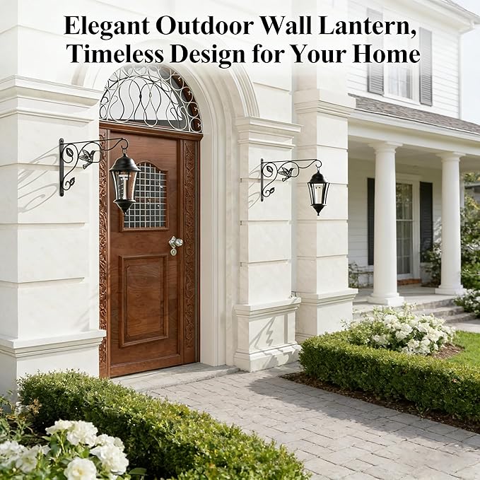 Plant Hooks for Hanging,2 Pack Outdoor Wall Hooks,Sturdy Metal Hanging Plant Hook, 12 Inch Heavy Duty Hooks for Hanging Planters,Wind Chimes,Lanterns,Bird Feeders,Garden,Home,Patio Decor,Black