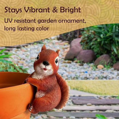 Wrenbury Outdoor Red Squirrel Ornament for Yard and Garden – Sammy The Squirrel Statue for Garden - Decoration Figurine with Lifelike Detail – 6” Weatherproof