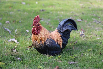HI-LINE Squatting Rooster Outdoor Garden Statue - 12.5"