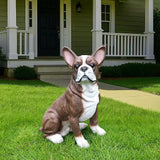 Boston Terrier Garden Statue with Solar Lantern & Double-Sided Sign, Large Resin Dog Animal Sculpture Outdoor Decor for Patio Lawn Yard and Porch, Welcome Gifts for Dog Lovers (16.9")