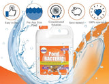 Pondworx Pond Bacteria - Formulated for Water Features and Safe for Koi (4 Gallon Value Pack)