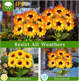 Solar Garden Lights Outdoor, 4 Pack Sunflower Lights with 24 Sunflower, Waterproof 60 Led Garden Fall Decor, Gifts for Mom Grandma, Decorative Solar Flowers for Pathway Patio Yard Flowerbed Decoration