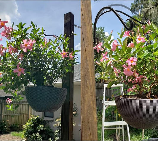 Maosen 16 Inch Swivel Plant Hangers Outdoor - 2 Pack Black Iron Plant Hanging Hook Bracket for Flowers Baskets Planter Pots Bird Feeder Lanterns Wind Chimes