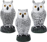 KKY 2 Packs Fake Plastic Owl Bird, Garden owl Statue,Can Repel Pigeons Away from The House, Garden, Pool. (3pc Black)