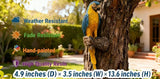 Tropical Parrot Statues Hanging Decor,13.6''(H) Wall Decor Parrot Sculpture for Home Porch Patio Door,Resin Macaw Statue Outdoor Garden Yard Tree Art Ornaments(Blue-and-Yellow)