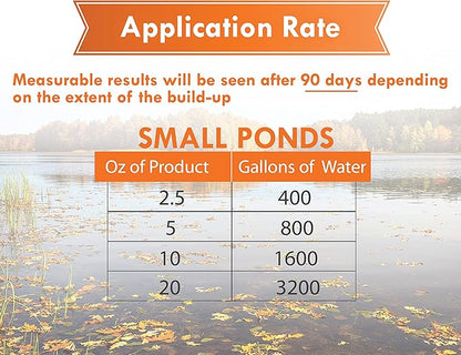 Pond Worx Pond Bacteria - Concentrated & Formulated for Large Ponds, Water Features - Safe for Koi - 32 Ounces & Treats up to a Quarter Acre Pond