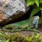 Outdoor Resin Iguana Statue, 13.39 x 7.09 x 5.91 inches, Green Decorative Garden Sculpture Outdoor Lizard Sculpture Tropical Lizard Yard Art