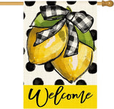 AVOIN colorlife Polka Dot Welcome Lemon Summer House Flag 28 x 40 Inch Double Sided Outside Yard Outdoor Decoration
