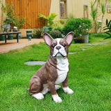 Sophisticated Brown & White Boston Terrier Dog Sculpture with Solar Lantern & Double-Sided 'On Patrol' and 'Welcome' Signposts – Premium Resin Statue for Upscale Garden, Yard, and Patio Décor