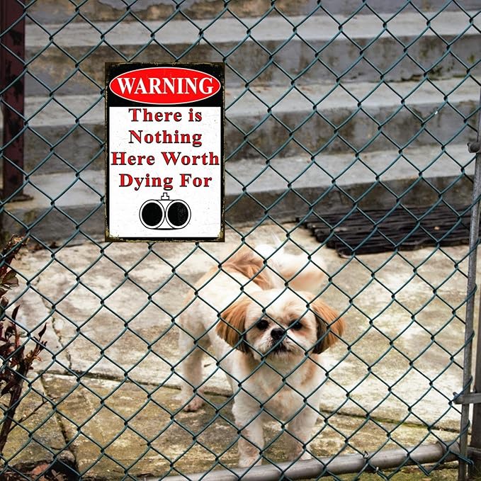 Funny No Trespassing Sign, Metal Warning Tin Signs, Nothing Here Worth Dying for, Yard Sign Garage Farm Garden Wall Decor Sign Plaque Outdoor for Home Fence 8 X 12 Inches