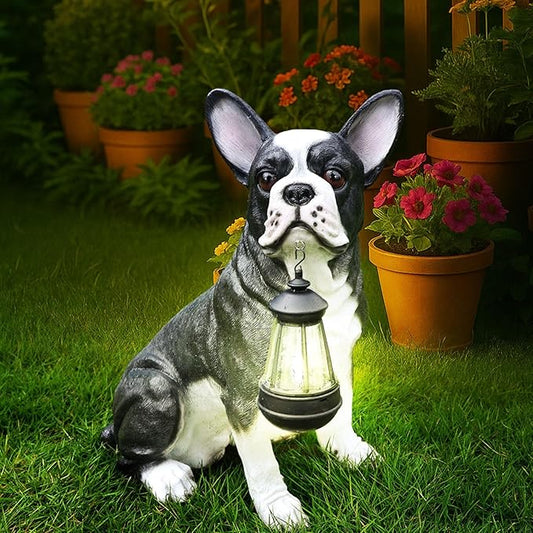 Outdoor Boston Terrier Dog Statue with Interchangeable Welcome Sign and Detachable Solar Lantern –LED Light Garden Dog Sculpture Décor Garden Statue Outdoor Dog Statue for Yard Gift