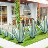 KODIBO Large Tequila Rustic Sculpture, Rustic Metal Agave Plants for Outdoor Patio Yard, Home Decor Hand Painted Metal Agave Garden Yard Statue, Outdoor Lawn Ornaments (Mint Green - L)