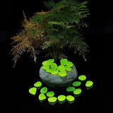 150pcs Glow in the Dark Garden Pebbles for Walkways and Decor (Green)