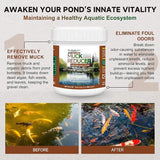Dr.Raifya's Muck Reducer - 8 OZ - Natural Pond Sludge Solution, Effectively Removes Muck in Koi Pond, Bird Baths, Fountains & Turtle Ponds, Beneficial Bacteria Safe for Fish & Wildlife, Easy to Use
