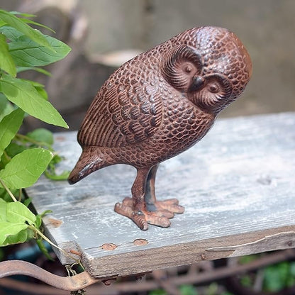 Saw Whet Owl