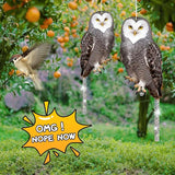 Owls to Keep Birds Away: 2Pcs Fake Owl with Reflective Tape for Orchard Garden Patio Pool, Reflective Hanging Decoration to Keep Birds Pigeon from Windows Tree Vineyard