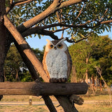Owl Statue Garden Decor, Resin Waterproof Halloween Indoor Outdoor Lawn Yard Patio Office Living Room Decoration Gifts for Mom Women (8.3 Inch)