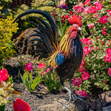 Zaer Ltd. 2.3 Ft. Tall Fancy Ornate Metal Rooster Statue Decorations (Hugo)