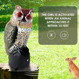 Ruolan Plastic Owl,Brid Owl with Flashing Eyes&Frightening Sound for Garden Yard Outdoor