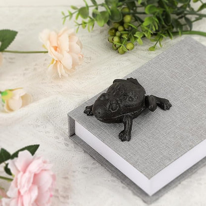 Sumnacon Spare Key Hider Outside Cute Frog Garden Decoration Secret Key Holder for Yard Porch Lawn Bushes, Heavy Cast Iron Hidden Keys Storage Vintage Outdoor Statue for Jewelry Ear Studs, Ring