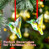H&D HYALINE & DORA Set of 2,3" Crystal Sun Catcher Prisms, AB Colored Hummingbird Hanging Suncatchers, Glass Hummingbird Prisms for Windows, Garden Decor