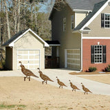 5PCS Rusty Quail Family Decorative Garden Stakes, Metal Birds Yard Decor, Bird Lover Gifts for Women Mom Grandma Wife, Metal Birds Statues Garden Sculptures and Yard Art, Patio, Lawn Ornaments