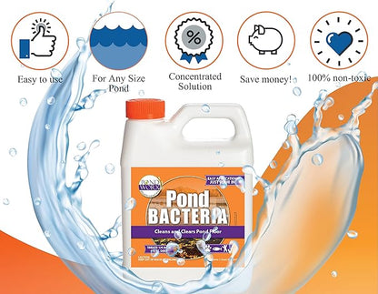 Pond Worx Pond Bacteria - Concentrated & Formulated for Large Ponds, Water Features - Safe for Koi - 32 Ounces & Treats up to a Quarter Acre Pond