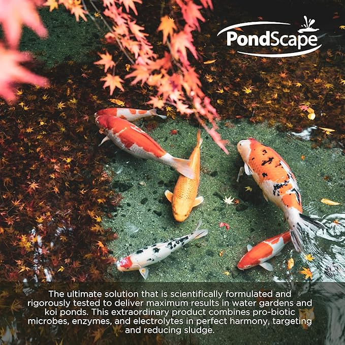 PondScape Sludge Assault Pond Cleaner – Pond Muck & Sludge Remover, Improves Water Clarity, Reduces Odors & Nitrates, Suitable for Koi, Fish & Aquatic Life – Treats 12,000 Gallons – 12 x 1oz Blocks