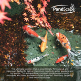 PondScape Sludge Assault Pond Cleaner – Pond Muck & Sludge Remover, Improves Water Clarity, Reduces Odors & Nitrates, Suitable for Koi, Fish & Aquatic Life – Treats 12,000 Gallons – 12 x 1oz Blocks
