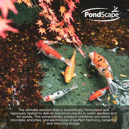 PondScape Sludge Assault Pond Cleaner – Pond Muck & Sludge Remover, Improves Water Clarity, Reduces Odors & Nitrates, Suitable for Koi, Fish & Aquatic Life – Treats 12,000 Gallons – 12 x 1oz Blocks