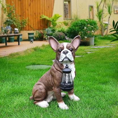 Sophisticated Brown & White Boston Terrier Dog Sculpture with Solar Lantern & Double-Sided 'On Patrol' and 'Welcome' Signposts – Premium Resin Statue for Upscale Garden, Yard, and Patio Décor