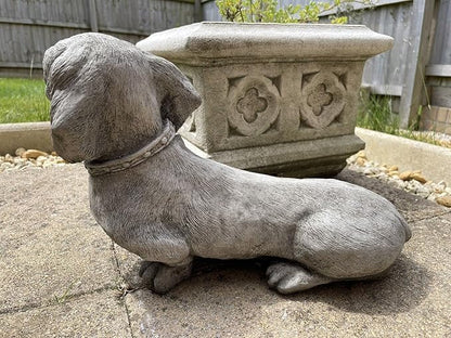Standing Dachshund Stone Statue | Reconstituted Stone Puppy Dog Outdoor Garden Ornament Decoration