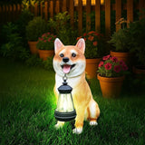 Zen-Porch Akita Accent with Solar Lantern and Double-Sided Sign, Sitting Brown & White Japanese Akita Statue for Steps, Balcony & Entryway