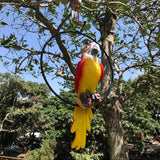 Hanging Parrot Statue Sculpture On Metal Round Ring Decor for Patio Garden Lawn and Nature Lovers Tropical Bird Collectors by Gifts, 10 inches Long Yellow