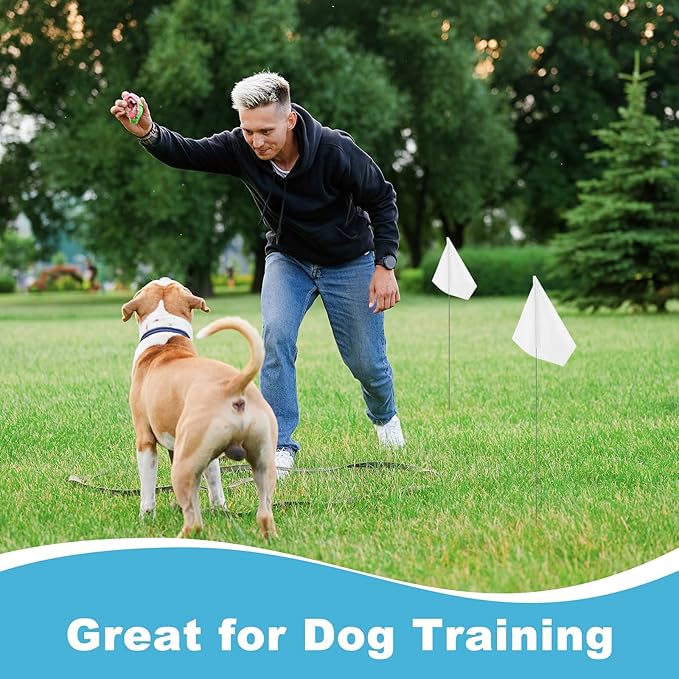 M METERXITY 10-Pack Blank Marking Flags, 15x5.1x4 Inch Waterproof Yard Flags Marking for Lawn/Garden/Irrigation/Landscape/Sprinkler/Survey/Dog Training/DIY [White]