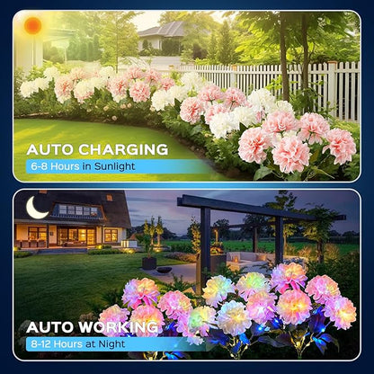 2 Pack Solar Garden Lights Outdoor, LED Colorful Waterproof Solar Powered Hydrangea Flowers Landscape Lights for Patio, Outside Yard, Pathway Decorative, Décor, Two Lighting Modes
