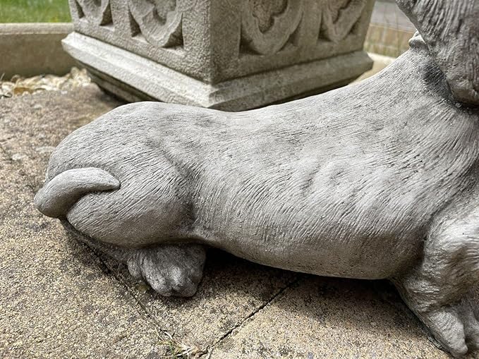 Standing Dachshund Stone Statue | Reconstituted Stone Puppy Dog Outdoor Garden Ornament Decoration