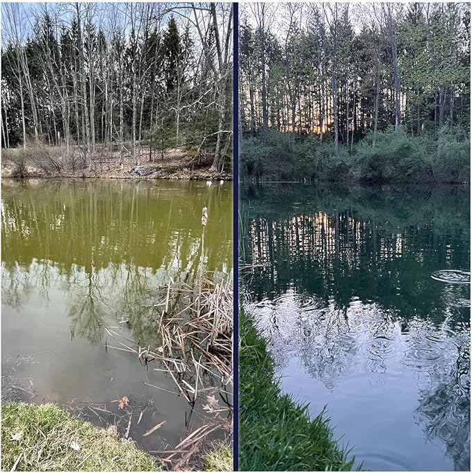 Natural Waterscapes Pond Dye - Vivid Blue Super Concentrate - 1 Quart Treats 1 Acre up to 6 Feet Deep, True Blue Pond Dye, Creates Vibrant Blue Color in Pond Water