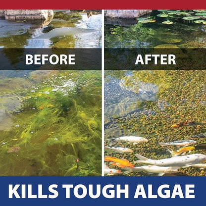 The Pond Guy InstaFix Algae Control, Outdoor Water Garden, Fountain & Birdbath Algae Solution, EPA Registered Liquid Algaecide, Control Green Water & String Algae, Bird, Fish & Pet Safe, 2.5 Gallon